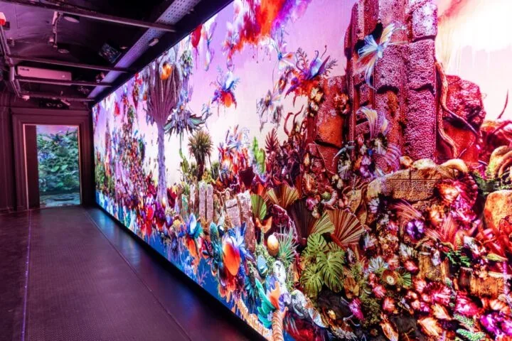 Sala del MUI con muro LED de gran formato integrado por Decibelpixel