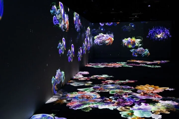 Sala inmersiva del MUI con piso LED y muros LED encendidos