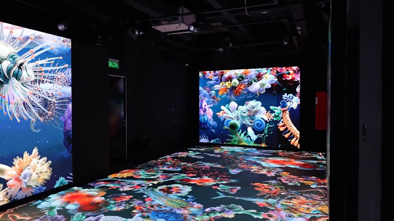 Piso LED y muro LED en el MUI durante la exposición Ceiba