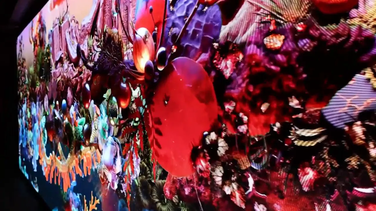 Detalle de pantalla LED con la obra Ceiba de Josué Ibáñez en el MUI